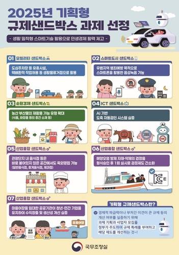 2025년 규제샌드박스 7개 과제 선정 [국무조정실 제공]