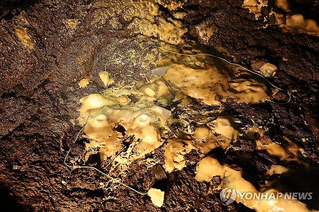 제주 용천동굴 내부에 남겨진 도자기 파편들 (제주=연합뉴스) 박지호 기자 = 국가유산 방문의 해를 맞아 제주시 구좌읍 월정리 용천동굴이 25일 언론에 특별공개됐다. 
    사진은 이날 용천동굴 바닥에 남겨진 도자기 파편들. 2025.9.25 jihopark@yna.co.kr