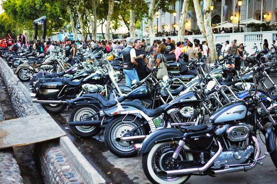 축제에 모여든 각종 올드카(위)와 할리 데이비슨. 올드카를 타고 와이너리를 돌아보는 프로그램도 있다.