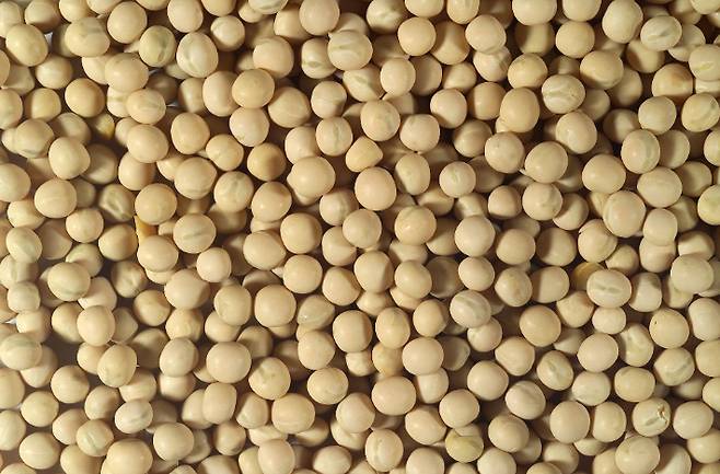 스마트이미지 제공