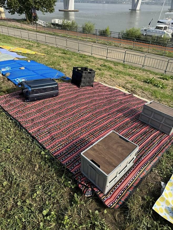 26일 오전 서울 여의도 한강공원에 돗자리가 일렬로 깔려 있다. 온라인 커뮤니티 캡처