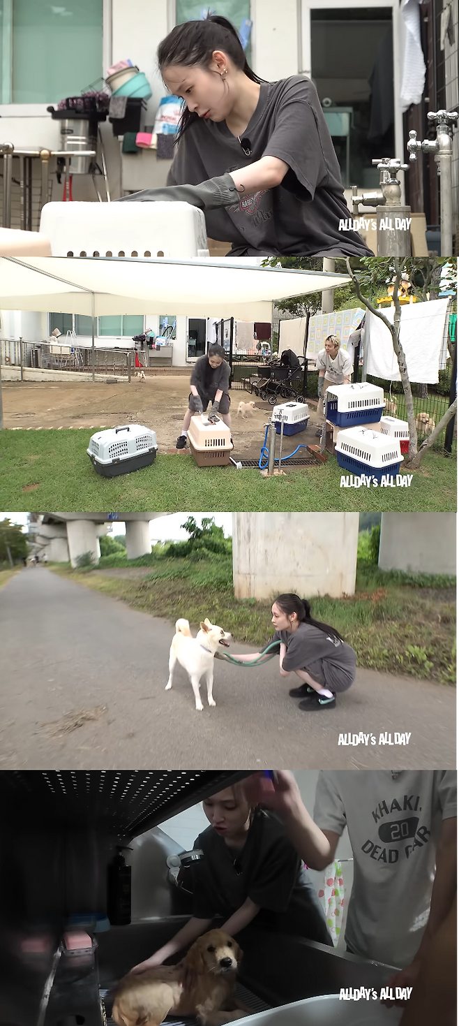 유튜브 채널 ‘ALLDAY PROJECT’ 캡처