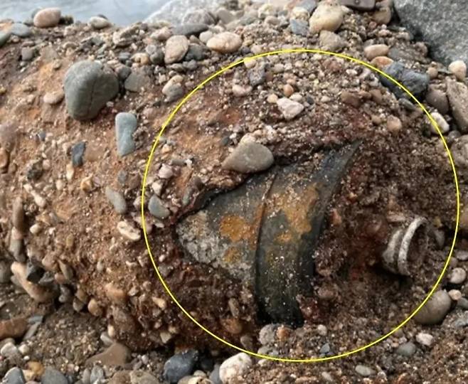 지난 8월 독일 드레스덴 중심부에서 기폭 장치가 장착된 550파운드의 불발탄 모습. 작센 경찰 제공