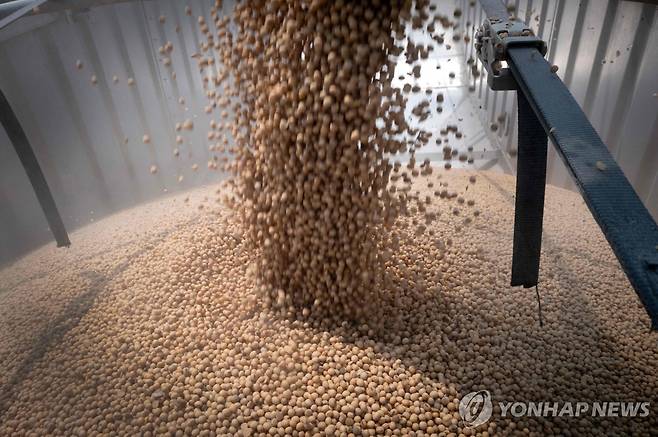 미국 대두 지난 8월1일 미국 일리노이주 드와이트의 한 곡물창고에 운반된 대두. [AFP=연합뉴스 자료사진]