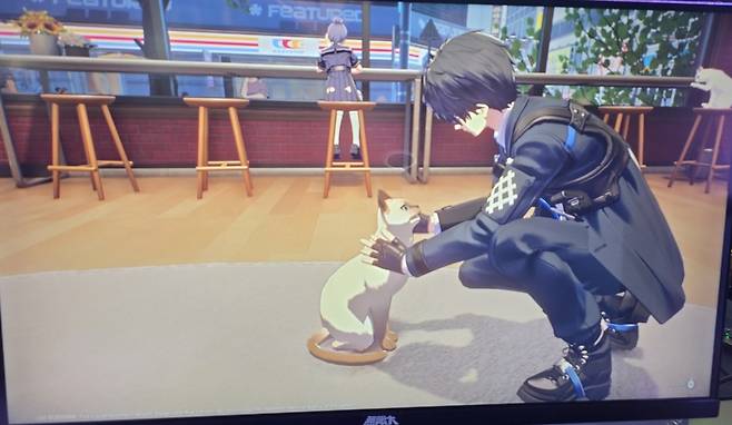 '무한대' 속 고양이 카페 콘텐츠 [촬영 김주환]