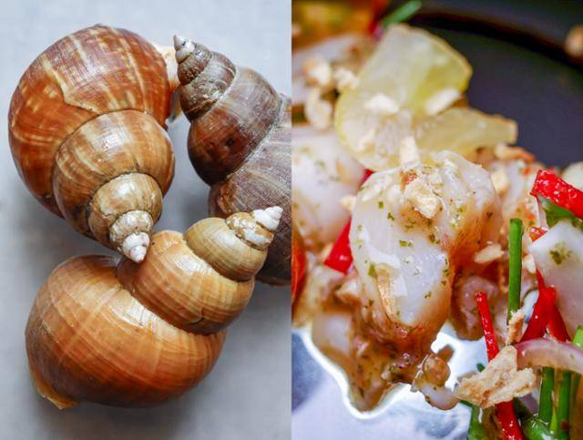 저자는 "인생 가장 우울했던 날" 찾은 바닷가에서 골뱅이 무침을 먹고 음식이 주는 위안을 알았다. 오른쪽은 속초편 코스 요리로 소개한 태국풍으로 무쳐낸 골뱅이 요리. 정석원 제공