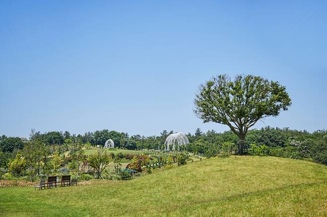 ▲ 해남 솔라시도 '산이정원'에 있는 '노리정원' [산이정원]