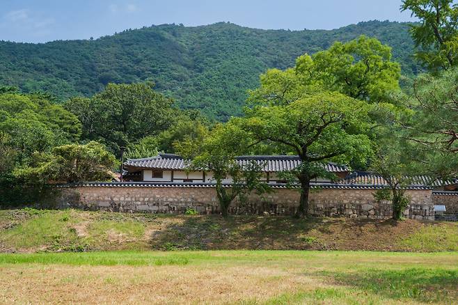 고산 윤선도 유적지로 알려진 녹우당은 해남윤씨 종택의 사랑채로 담벼락을 따라 비자나무숲까지 이어지는 산책로가 고즈넉하다.
