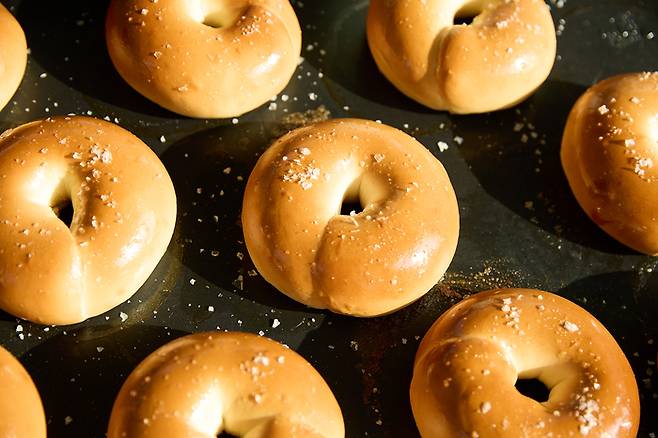 포비 베이글. <포비아워스>