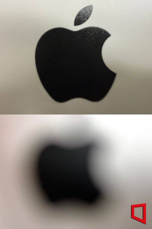 접사 촬영을 지원하는 아이폰 16 프로로 촬영한 근접사진(위쪽)과 접사촬영을 미지원하는 아이폰 에어로 찍은 사진. 이명환 기자