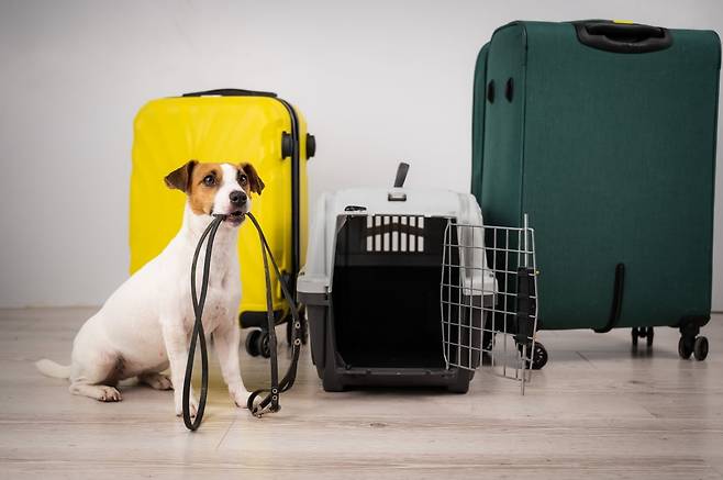 사진=게티이미지뱅크