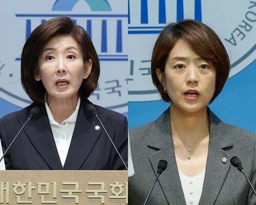 국민의힘 나경원 의원(왼쪽), 더불어민주당 고민정 의원. 뉴스1