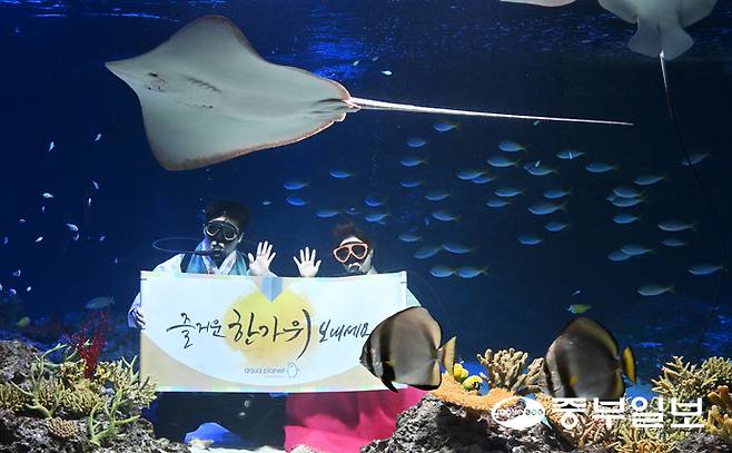 민족 대명절인 추석을 일주일 앞둔 29일 오전 수원시 영통구 아쿠아플라넷 광교에서 한복을 입은 아쿠아리스트가 추석 인사를 하고 있다. 김경민기자