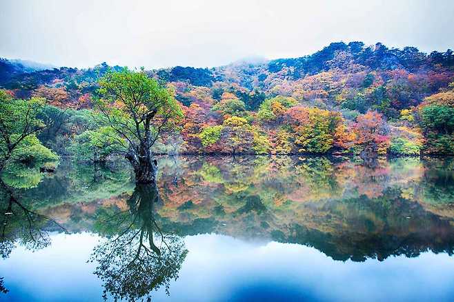 현실과 꿈의 경계가 무너지는 환상적인 풍경의 주산지.