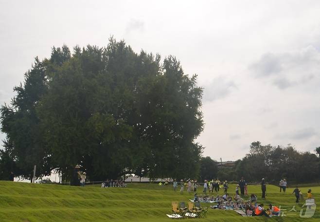 강원 원주시 문막읍 반계리의 은행나무광장의 준공식이 29일 오후 2시 반계리 은행나무 일원에서 열린 가운데, 어린이들이 이날 반계리 은행나무광장 주변에서 야외 활동을 갖고 있다. 2025.9.29/뉴스1 ⓒ News1 신관호 기자