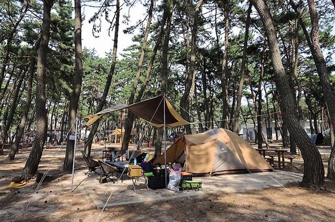 고사포 야영장에서 변산반도의 뻥 뚫린 바다 조망과 함께 야영을 즐길 수 있다. /사진=한국관광공사