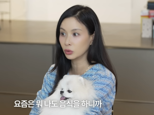 고소영 유튜브 채널