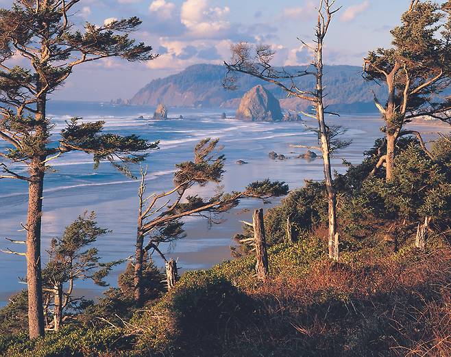 오리건주 포틀랜드 서쪽 해안 캐넌비치