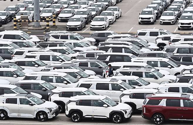 지난 9월 16일 평택항 자동차 전용부두에 수출용 차량이 세워져 있다. 환율이 상승하면 자동차 수출 가격은 하락한다. [사진 | 뉴시스]