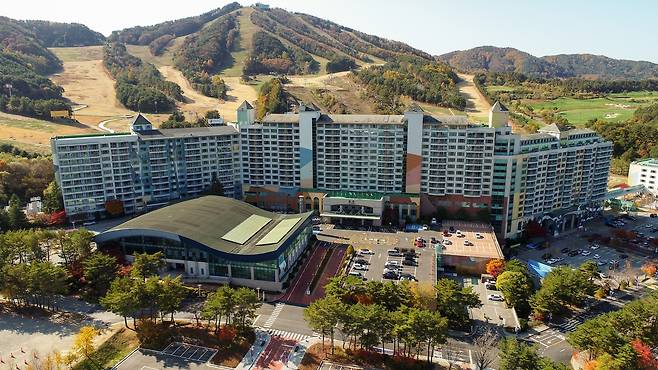 웰리힐리파크 전경 [웰리힐리파크 제공.재판매 및 DB 금지]