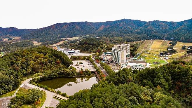 웰리힐리파크 전경 [웰리힐리파크 제공.재판매 및 DB 금지]