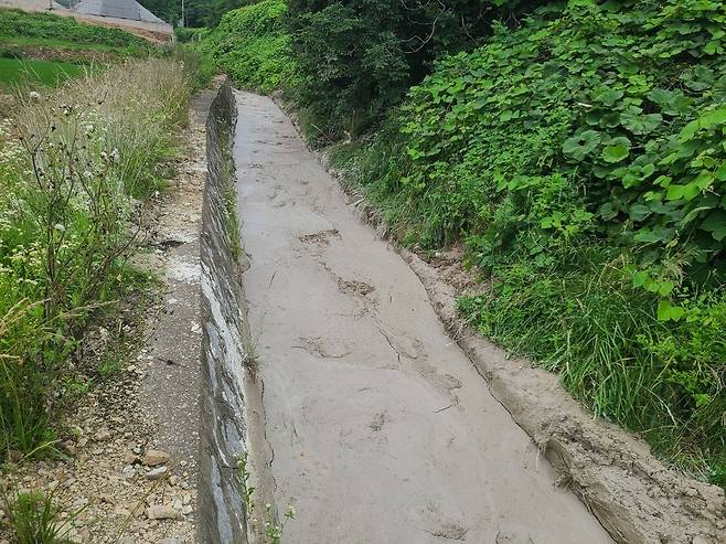 ▲ 인천 옹진군 백령도 하천에 버려진 슬러지. /사진제공=독자
