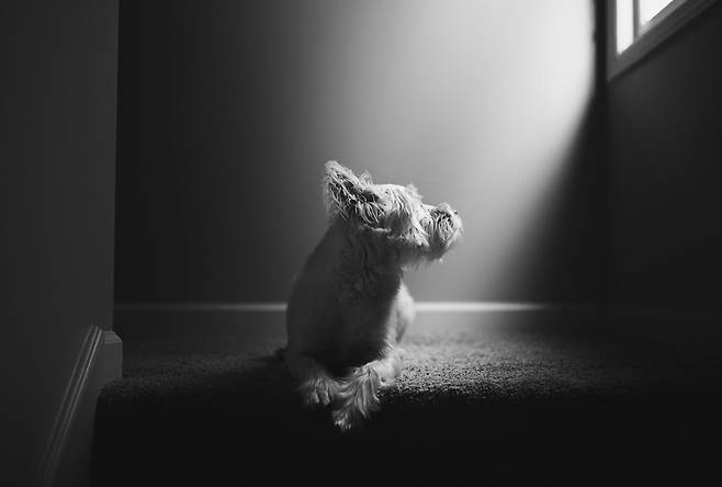 © unsplash jason-hawke