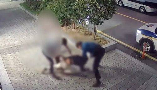 과잉 진압 논란이 된 장면. 연합뉴스, 독자 제공