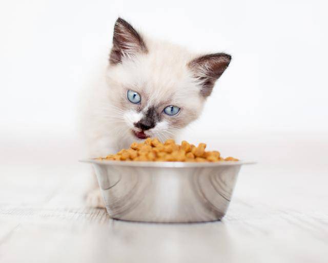 게티이미지뱅크