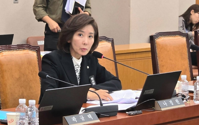 나경원 국민의힘 의원. (본인 페이스북)