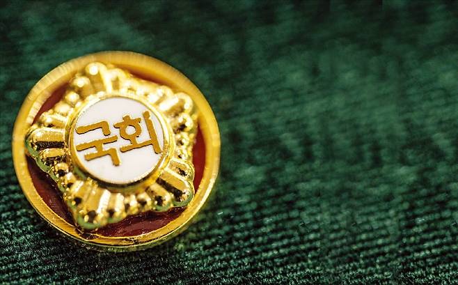22대 국회의원 배지. /사진=강은구 기자