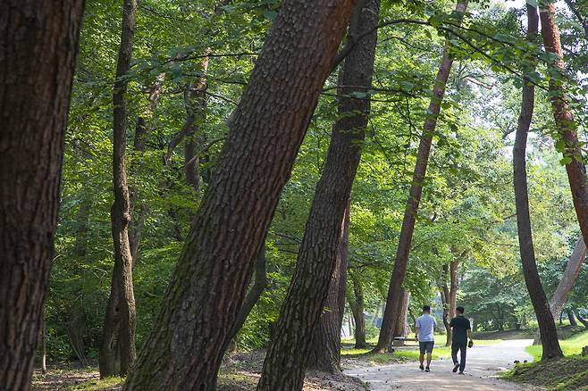 구리 동구릉{경기관광공사 제공]