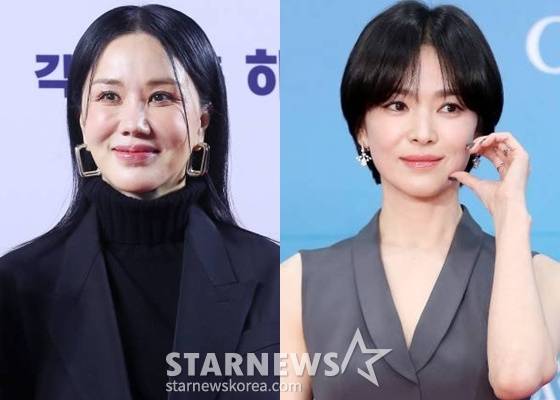 엄정화, 송혜교 /사진=스타뉴스