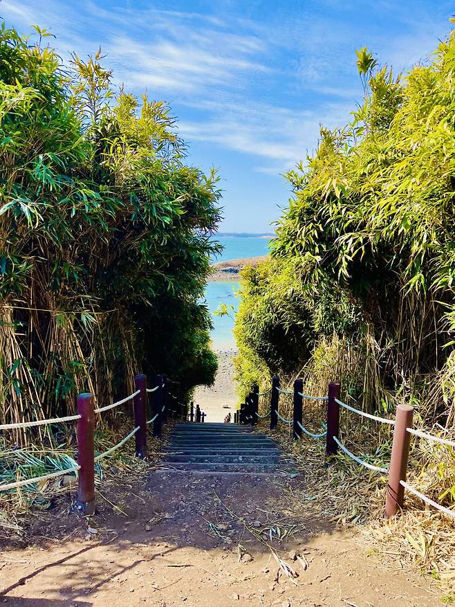 홍성 죽도산책길 모습