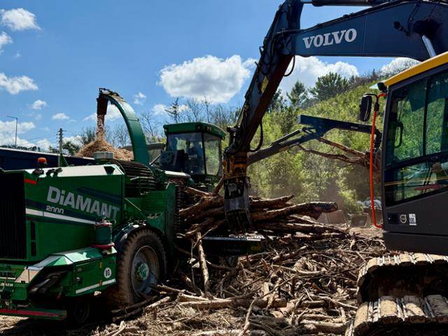 지난달 12일 경북 안동 지역 산불피해목을 반출하기 위해 파쇄하는 작업이 진행되고 있다. 소나무재선충병 확산 방지를 위해 소나무류 반출금지구역으로 지정된 이곳에서 소나무를 다른 지역으로 옮기기 위해서는 소나무재선충병 매개충보다 작은, 어른 손톱만 한 크기로 분쇄해야 한다. 이 때문에 건축, 가구 제작 등을 위한 제재목으로 쓰이지 못하고 대부분 화력발전소 연료로 쓰인다. 안동=정민승 기자