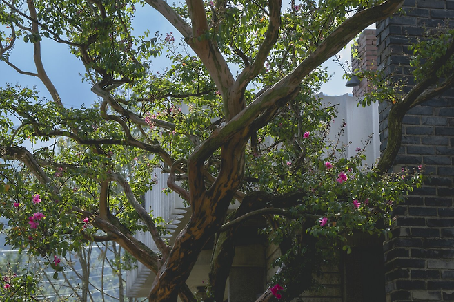 영화 ‘어쩔수가없다’ 스틸컷. CJ ENM 제공