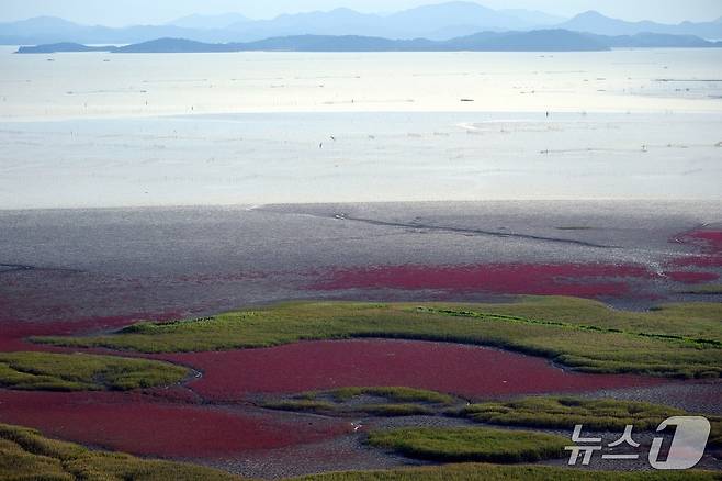 순천만습지의 칠면조 풍경(순천시 제공)