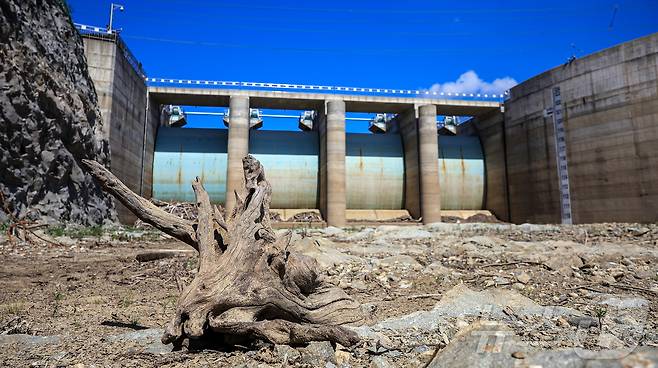 지난 9월 10일 오후 강원 강릉시 오봉저수지가 바짝 말라붙어 바닥을 드러내고 있다.  ⓒ News1 김진환 기자