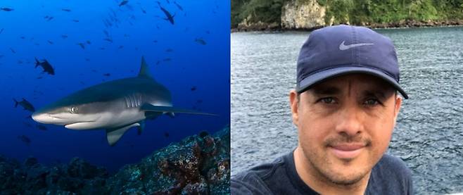 (갈라파고스 상어와 오요스 박사. 뉴욕타임스)