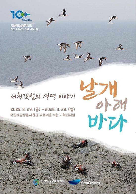 국립해양생물자원관 기획전 '날개 아래 바다' 포스터. ⓒ국립해양생물자원관