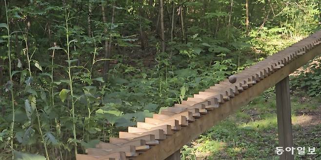 다이세쓰모리노가든의 ‘숲의 실로폰’. 김선미 기자 kimsunmi@donga.com