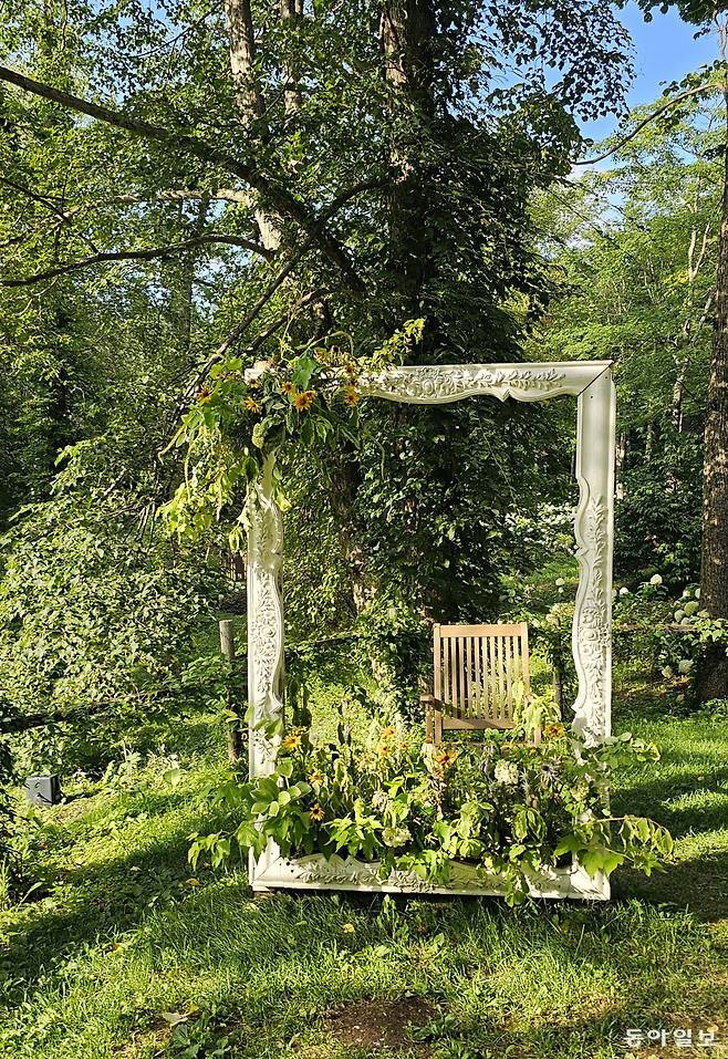 생화 장식의 포토존. 김선미 기자 kimsunmi@donga.com