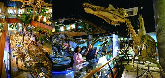 안면도 쥬라기 박물관(왼쪽부터 한국에서 가장 많은 진품 공룡 화석이 전시된 안면도 쥬라기 박물관, 영화 쥬라기 공원 3의 주인공, 스피노사우루스 진품 골격도). 임종덕 국립문화유산연구원장 제공