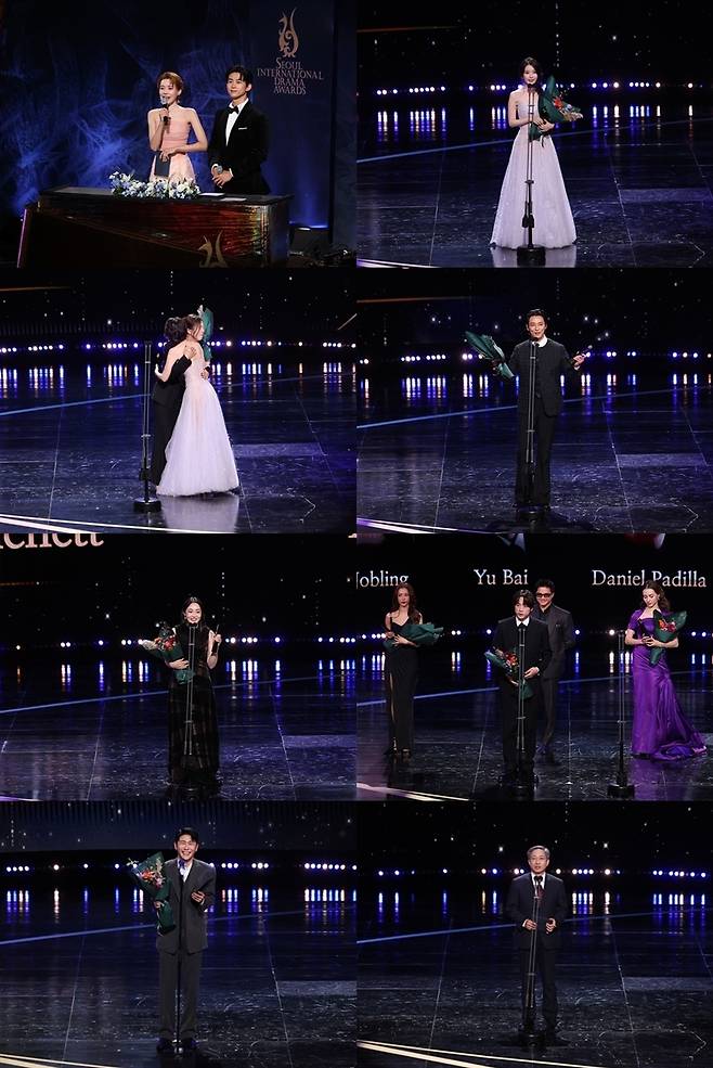 사진=서울드라마어워즈조직위원회 제공