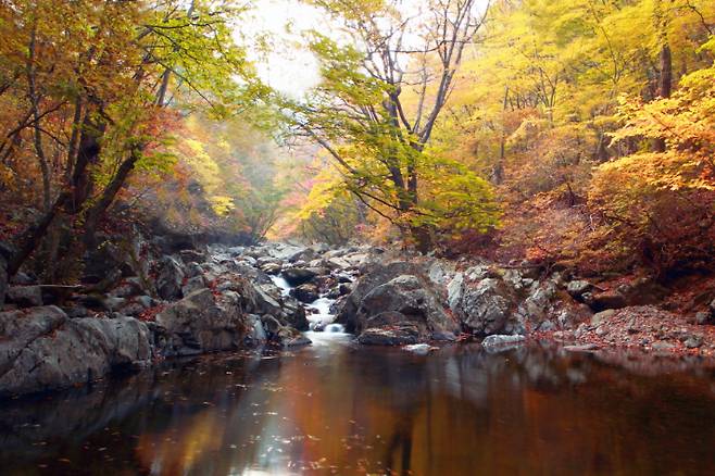 무주 구천동 어사길. 무주군 제공