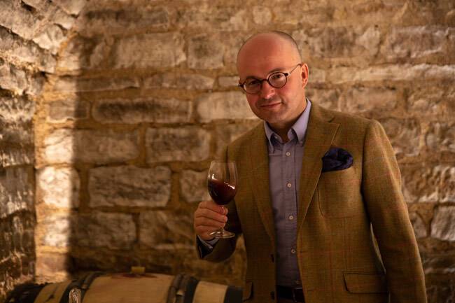 로랑 들로네. 홈페이지