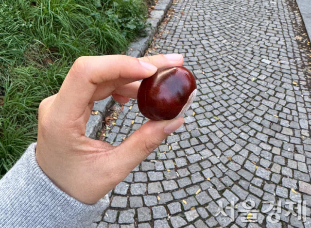 사진=독자 제공