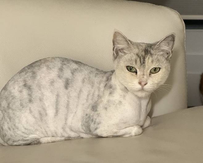 가족을 기다리는 루나(인스타그램 eve__mom 제공) ⓒ 뉴스1