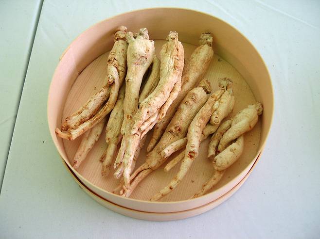 인삼과 홍삼은 같은 뿌리지만 가공 방식에 따라 효능과 체내 흡수율이 다르다. 장기 복용과 특정 체질·질환은 부작용 위험이 있어 전문가 상담이 필요하다. 사진=게티이미지