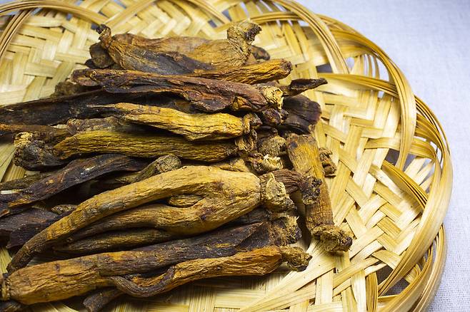 인삼과 홍삼은 같은 뿌리지만 가공 방식에 따라 효능과 체내 흡수율이 다르다. 장기 복용과 특정 체질·질환은 부작용 위험이 있어 전문가 상담이 필요하다. 사진=게티이미지